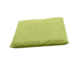 Couleur Anis zabuton-80x80-anis